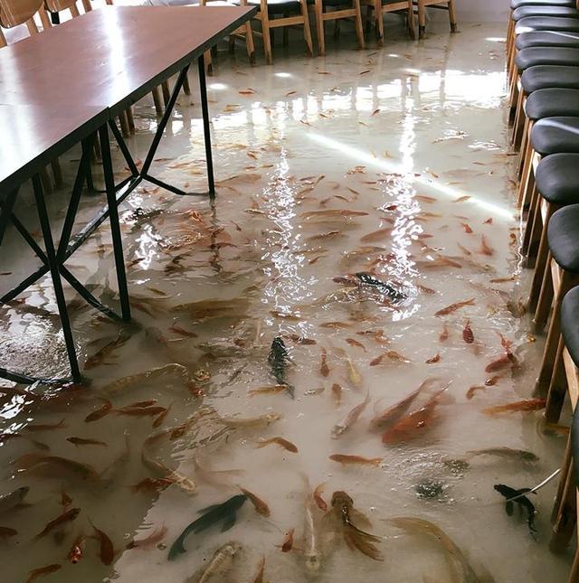 越南小伙开"鱼疗"咖啡馆,边喝咖啡边做鱼疗,就怕客人脚太臭