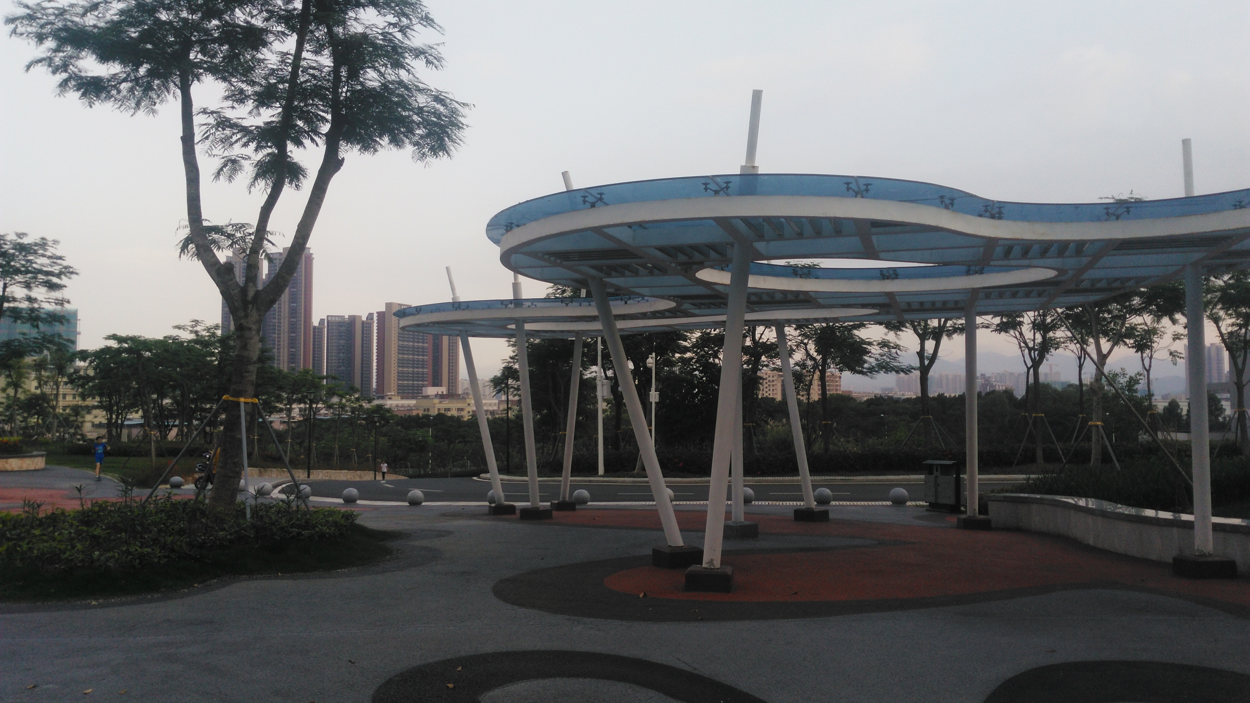 深圳龙岗盐龙大道边藏着一个低碳生态公园,你知道吗?