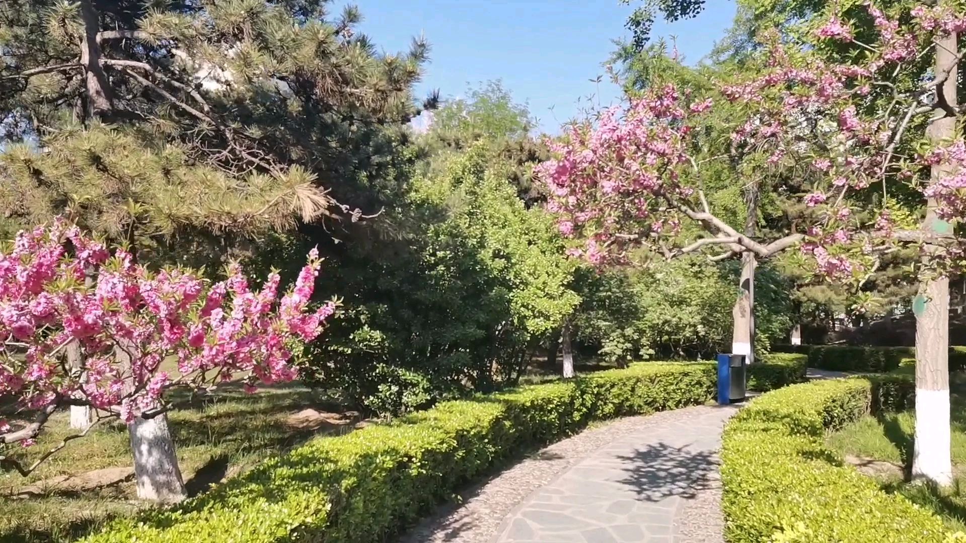 看着美景心情好了,自然身体健康,来段报菜名贯口给大家欣赏