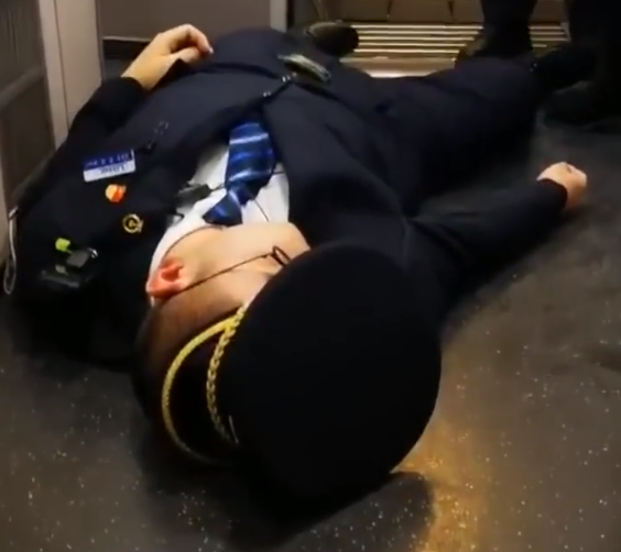 男子拒补高铁票,殴打列车长后又袭警,还不停辱骂:我必须整死他