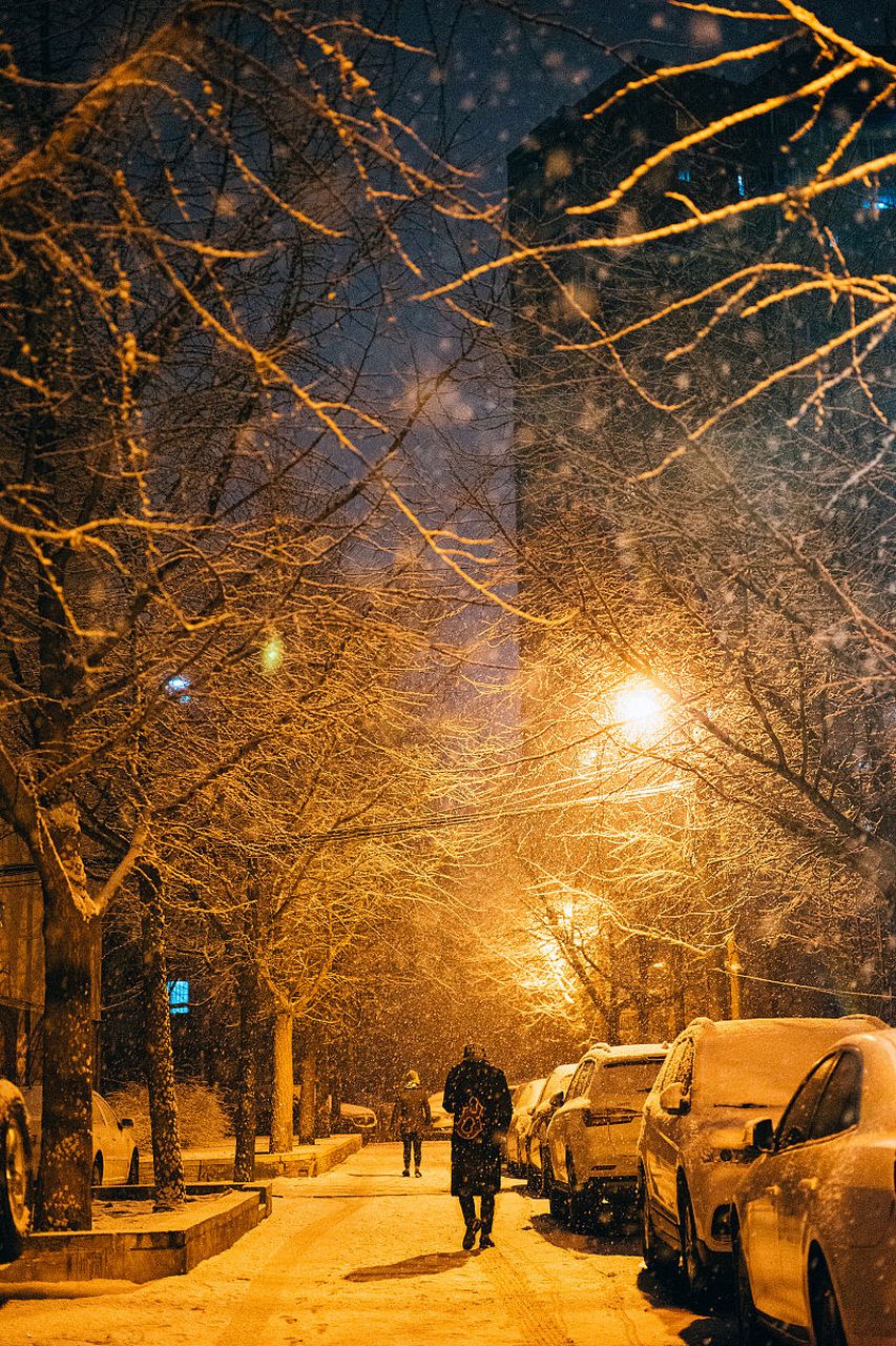 回家的路上,你是否曾独自在路灯下慢慢行走,感受着夜晚的宁静与孤独?