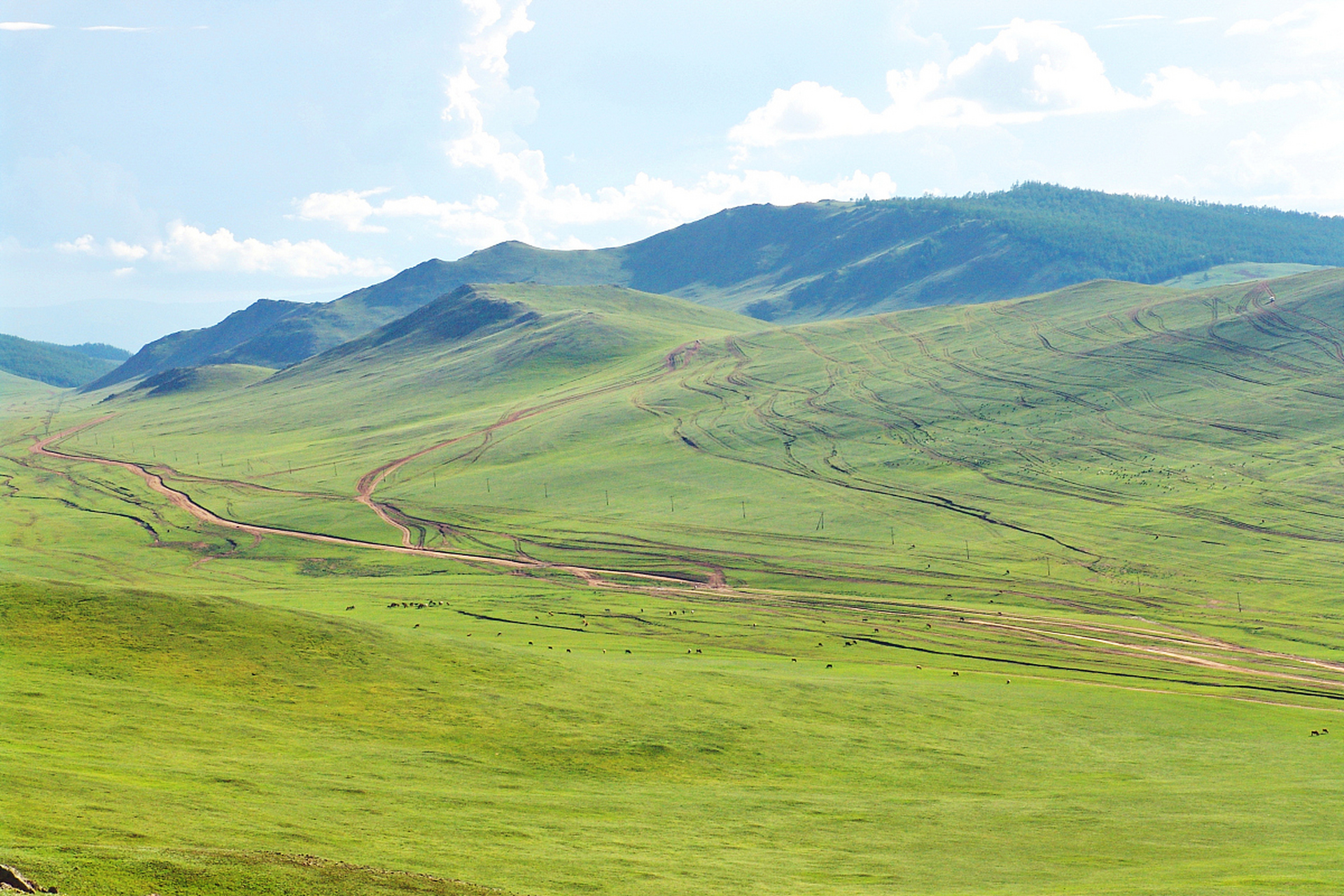 百里荒草原风景区图片