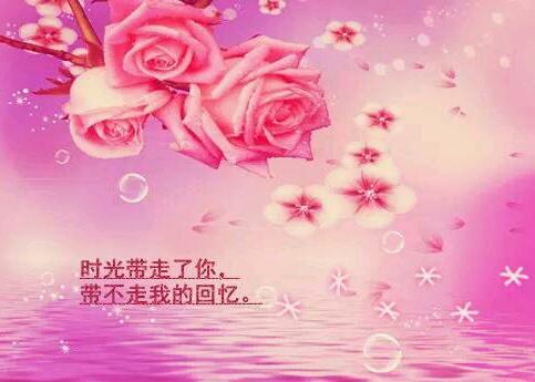 爱你没期限,想你一天又一天,朝思暮想中,心疼了又疼泪流了又流