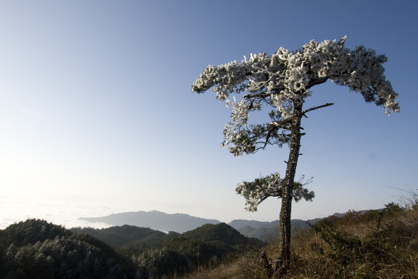 茫荡山(茫荡山自然保护区)