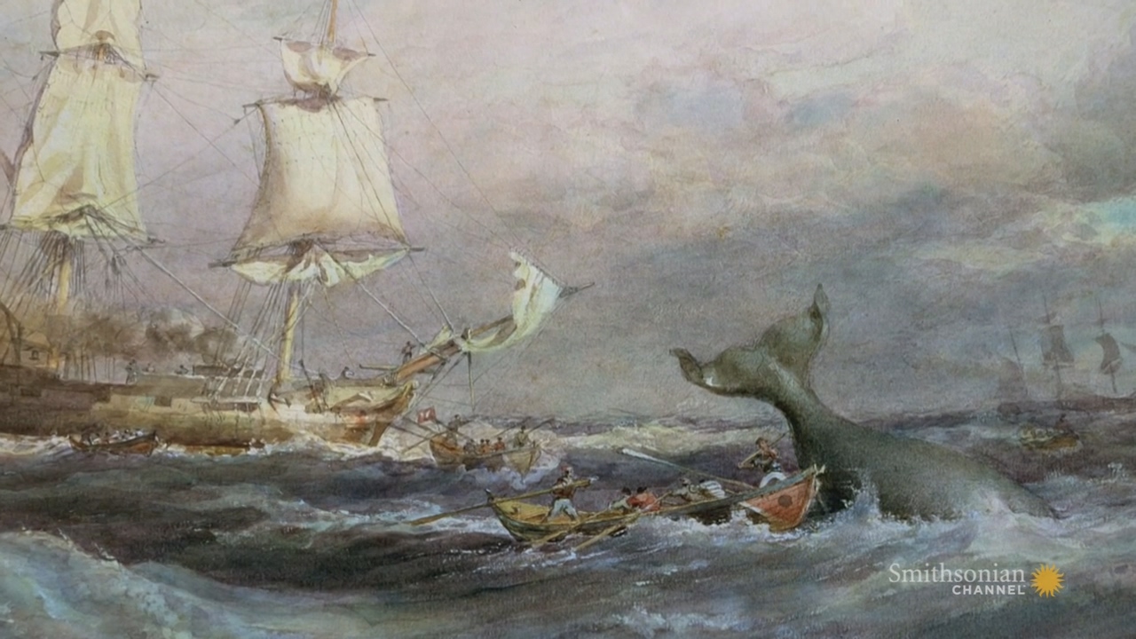 《白鲸记》:鲸鱼之心[纪录片]