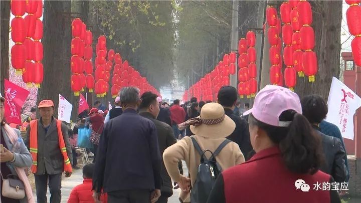 夏集镇第三届乡村桃花旅游节开幕