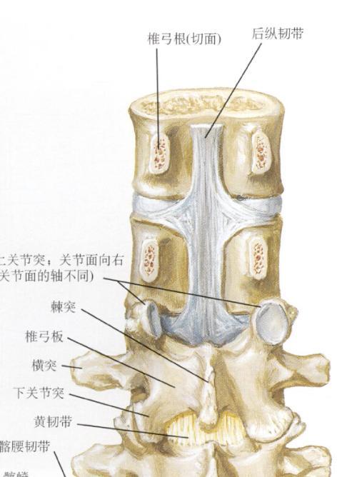 腰椎骨折有哪些注意事项?