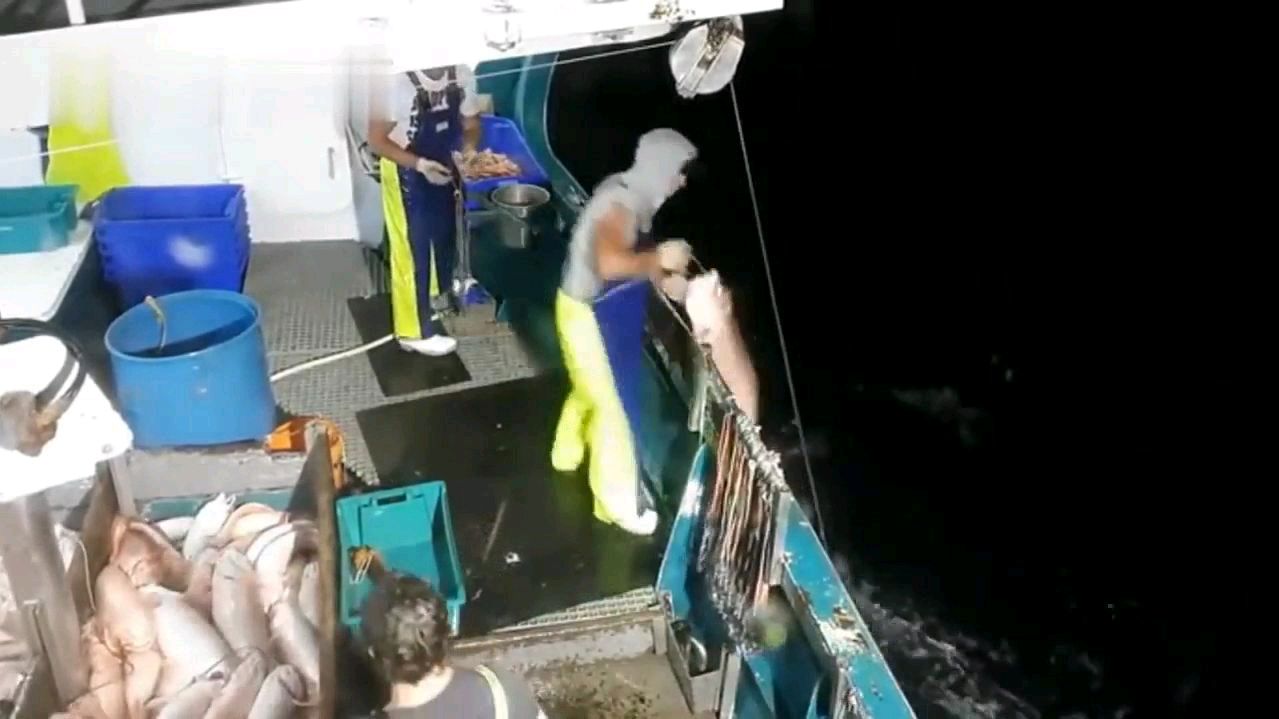 鱼民在海上捕鱼拍摄过程