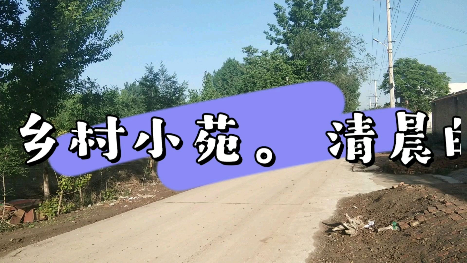 清晨小苑带你看农村风景