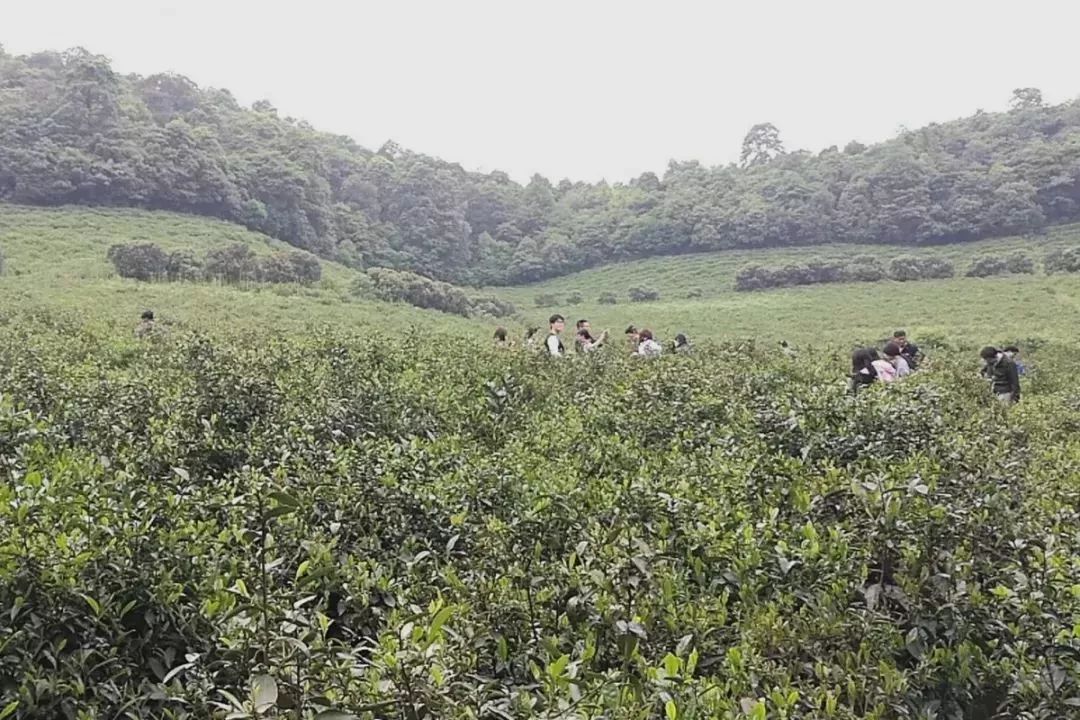 「关注」萧山6个村荣获"品牌村"称号!每个村来头都不小!