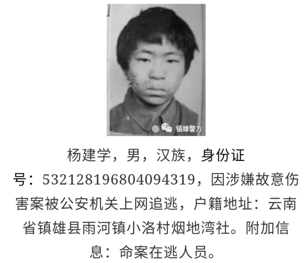 云南镇雄警方就通缉令上用"娃娃照"致歉:不严谨,已撤除
