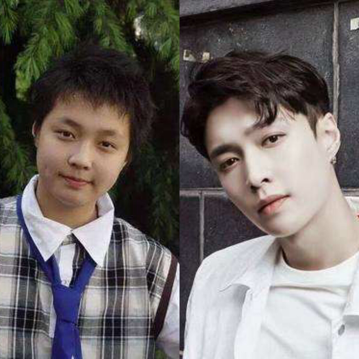 明星胖瘦对比照,原来瘦下来真的可以提高颜值