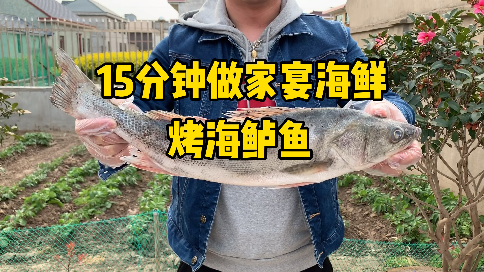 5斤野生海鲈鱼,今天烤着吃,朋友们又有口福了!
