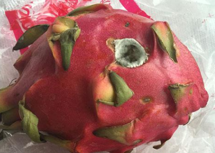 的迹象,就要把它们丢掉,因为发霉并非是洗洗或者太阳晾晒就可以去除的