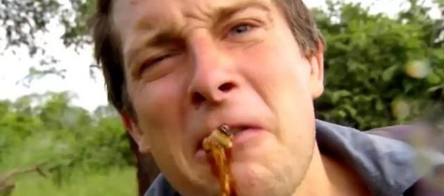 贝爷常吃虫子肝脏,为啥还很健康,真实原因令人吃惊:被骗了!