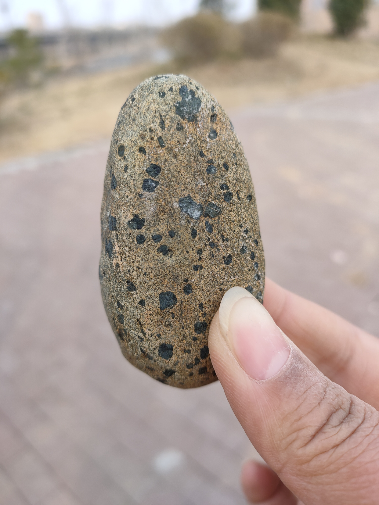 咏鹅 骆宾王诗作 百度百科