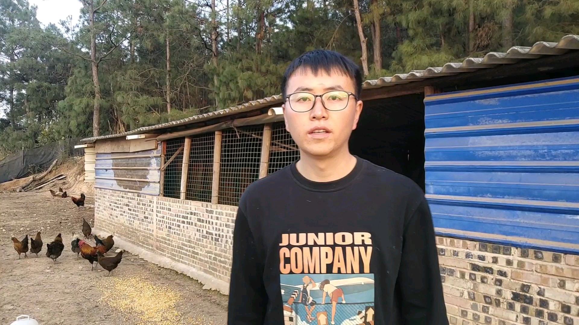 文山土鸡哥:散养土鸡鸡舍的建设,把不知道的告诉你