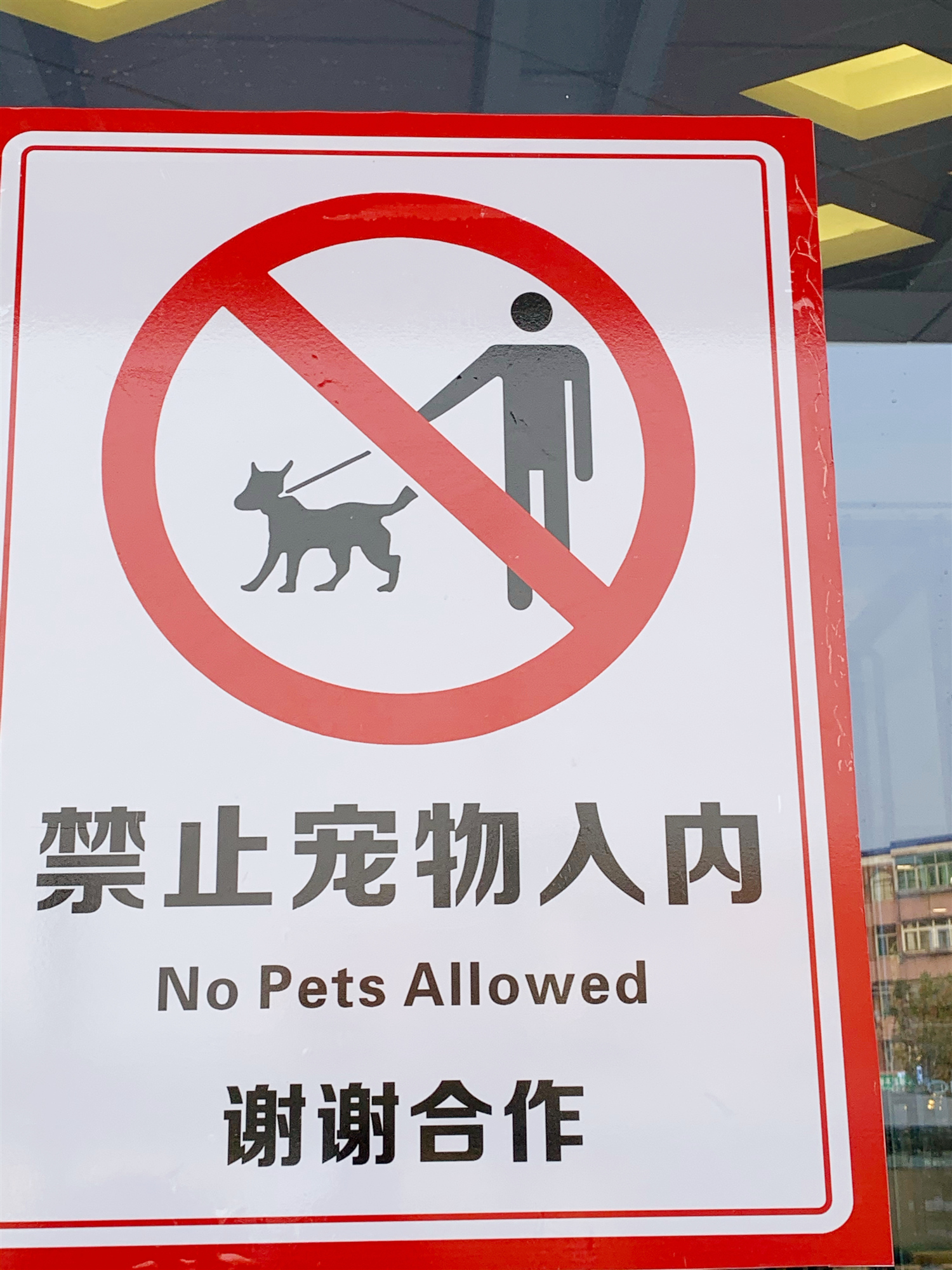 万达禁止宠物入内,遭爱狗人士不满:这个标志是对狗的歧视