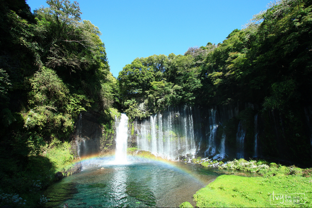 除了修善寺和濱松城,日本·靜岡縣還有哪些知名景點?