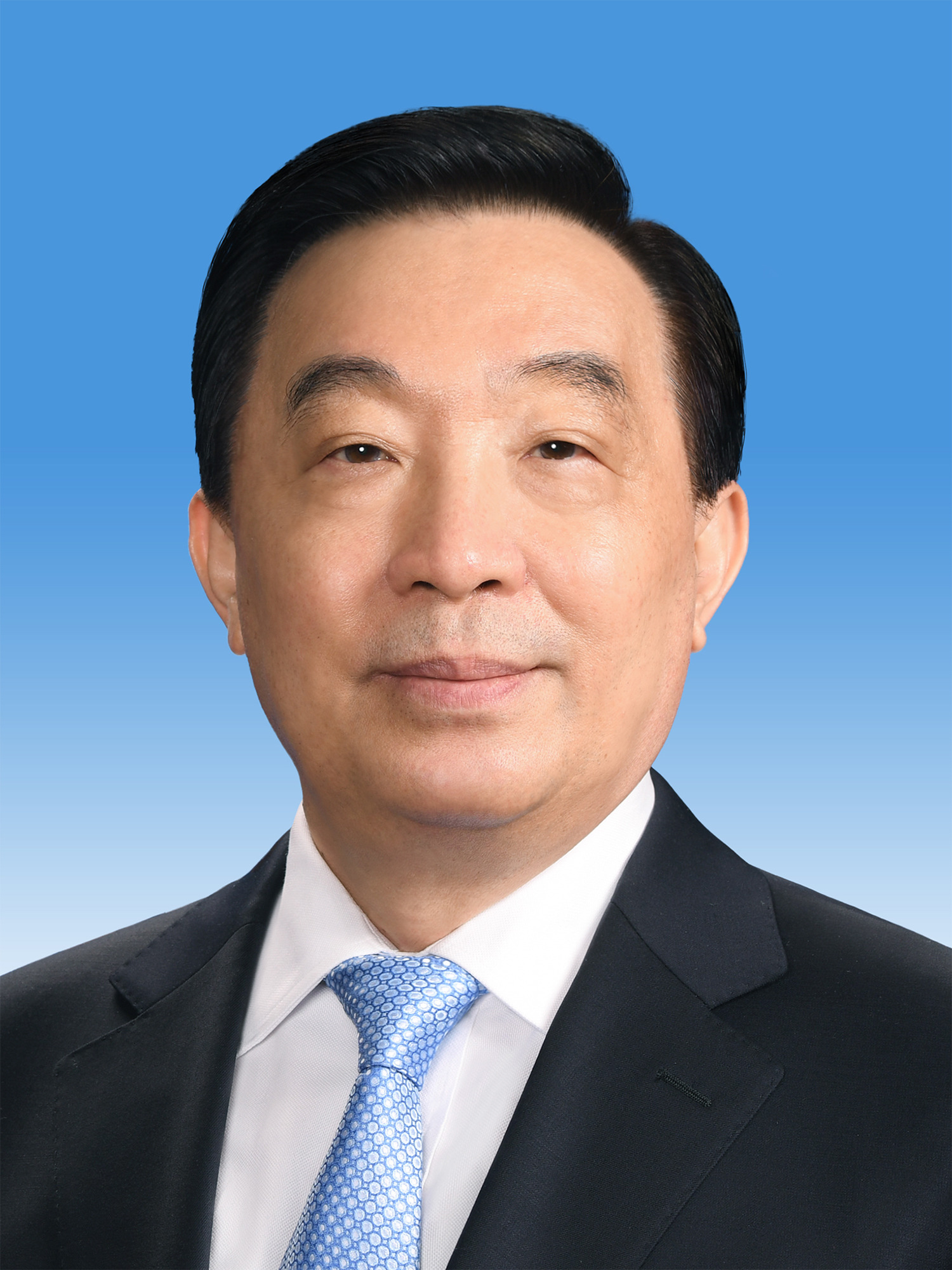 第十三届全国人民代表大会常务委员会副委员长王晨