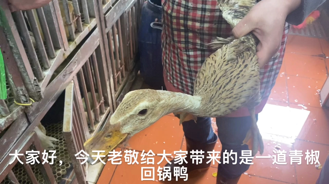大厨解秘老水鸭做法,加一种你想不到的调料,味道一绝