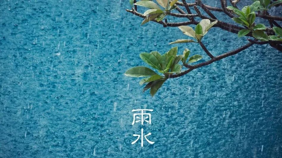 夜读| 明日雨水,厦门的雨也来了