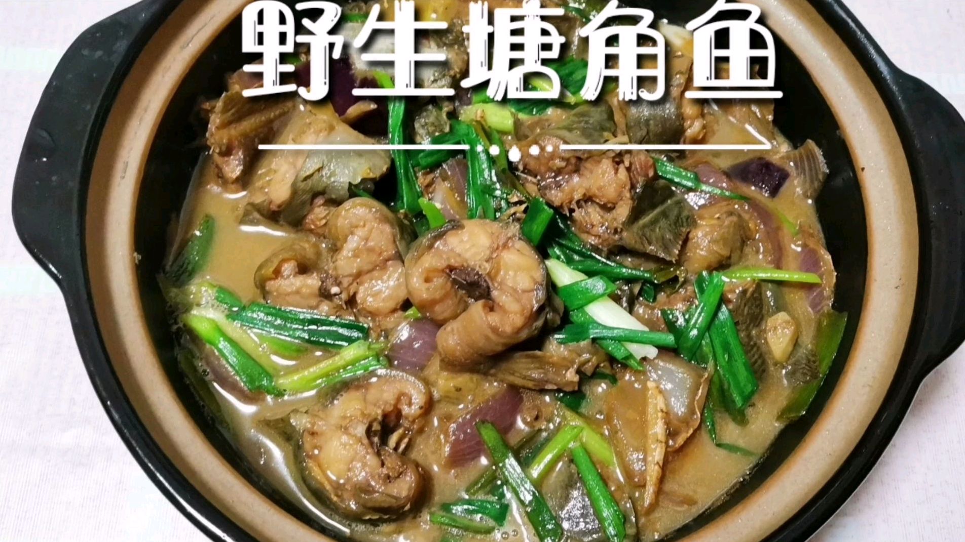 别再说塘角鱼不好吃,丁叔这样煲香嫩十足没有泥味的塘角鱼