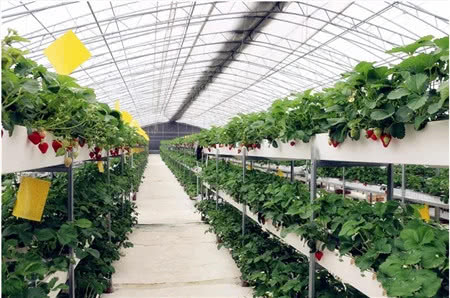 立体栽培模式 - 2020年最新商品信息聚合专区 - 百度爱采购