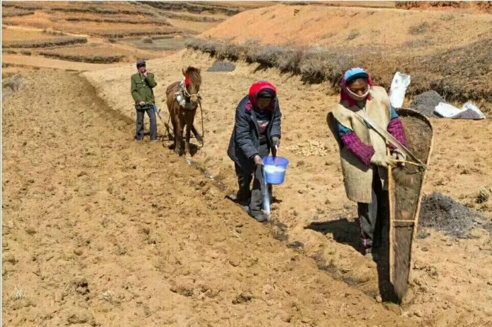 除了辛苦种地以外,农民还要不停的劳作,图的啥?就为着几件事儿