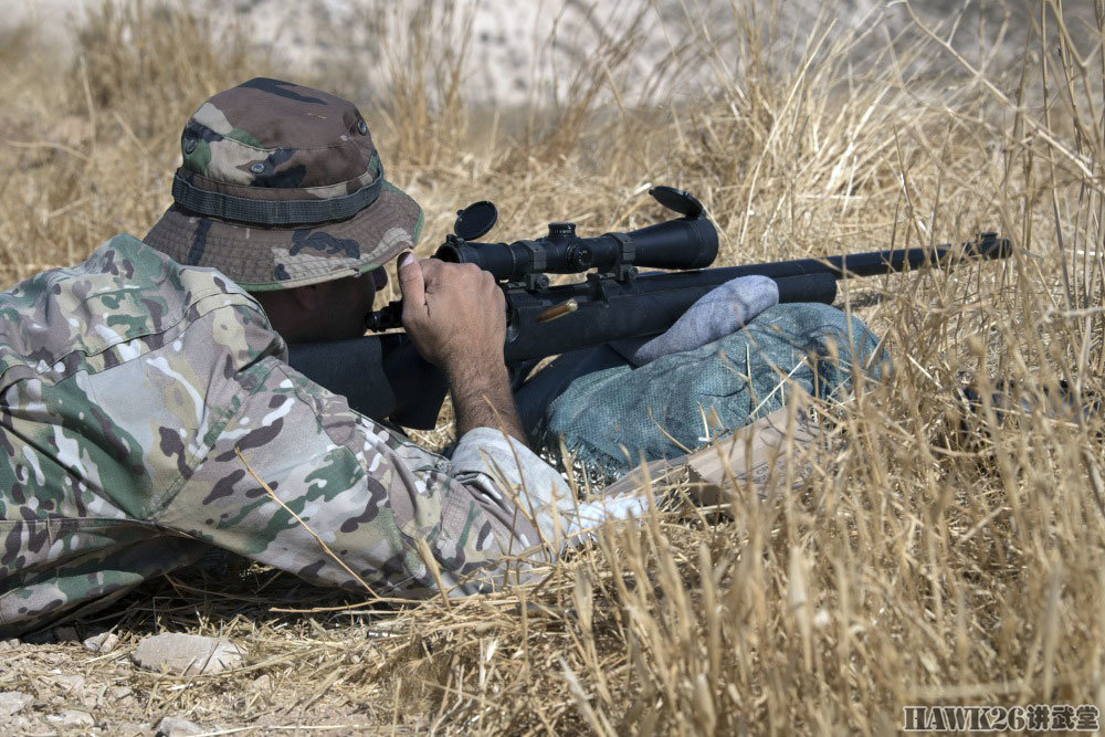 美国塞浦路斯特种部队狙击手联合训练 mk20狙击步枪低调现身
