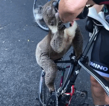 226_218gif 动态图 动图