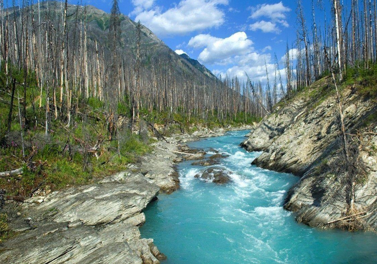 这六张相片特别好看,你喜欢哪一张?