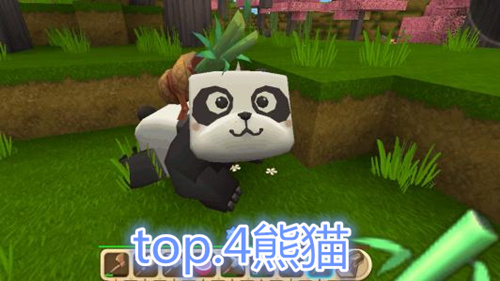 迷你世界:你会带上哪种生物外出探险,熊猫名落孙山,这是为何?