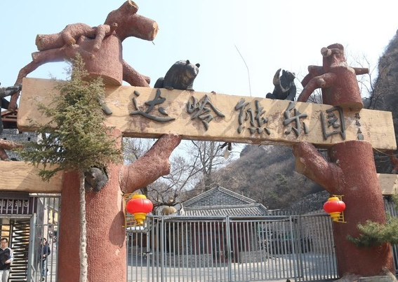八达岭熊乐园,除了可以看熊之外,还是长城的出口