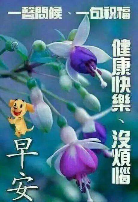 腊月早上好最新版祝福漂亮图片带字,微信群最美早安问候语