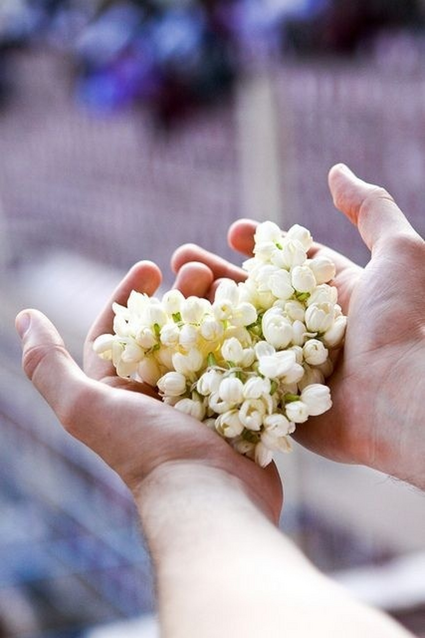 明白你焦虑背后的所有小心翼翼,我希望有人把你捧在手心里,渴望慰籍你