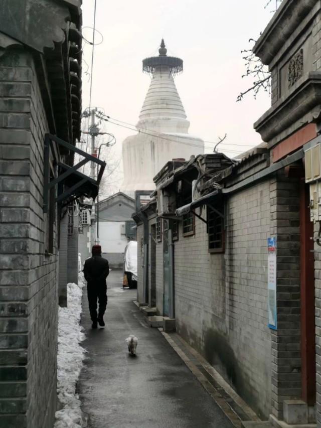 雪漠香山 净如琉璃 晏游雪景美爆朋友圈