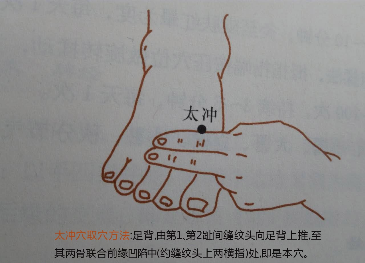 第一个穴位就是太冲穴:如果大家找不到太冲穴的这个位置,可以看下面的