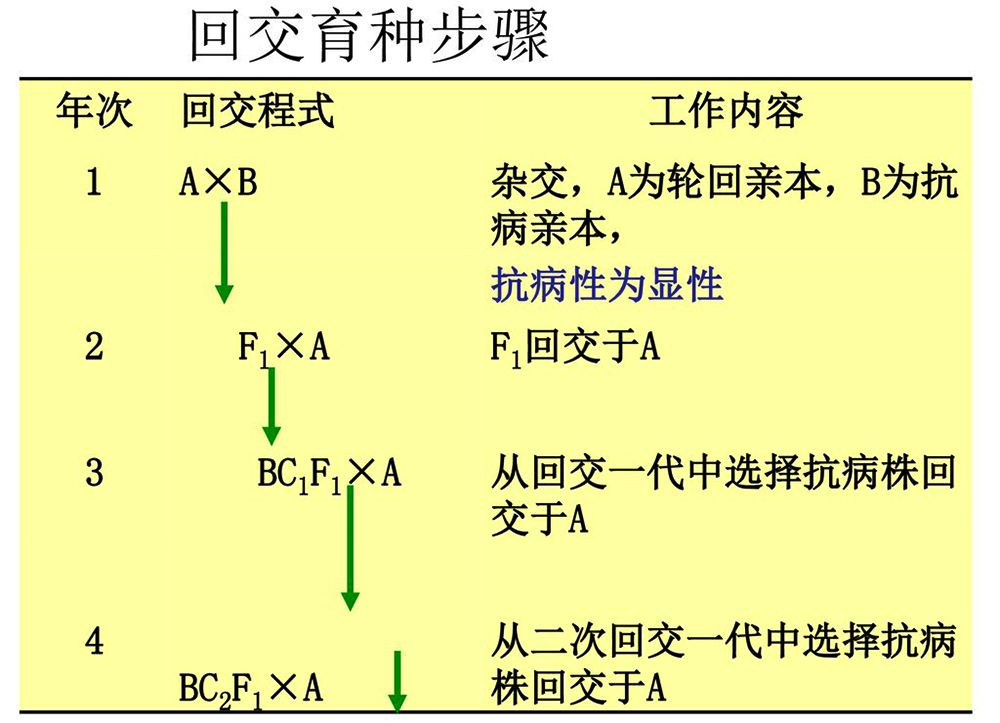 为什么要让动物回交?不会有伦理问题吗?