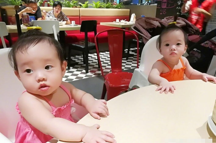 杨云晒双胞胎女儿萌照幽默称:我们不一样,姐妹俩都一副高冷模样