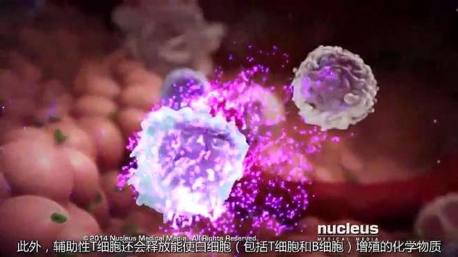 [图]3D医学动画演示：HIV病毒是如何破坏人体的免疫系统