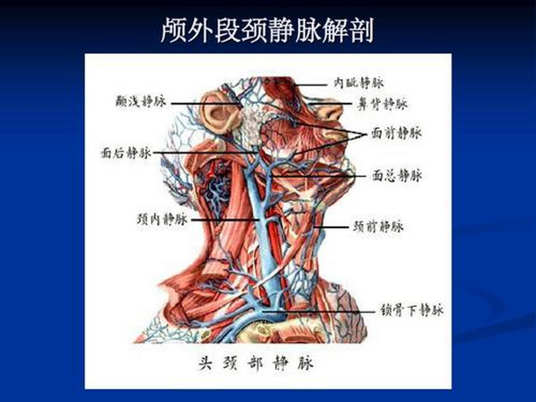 肝颈静脉回流征图片图片