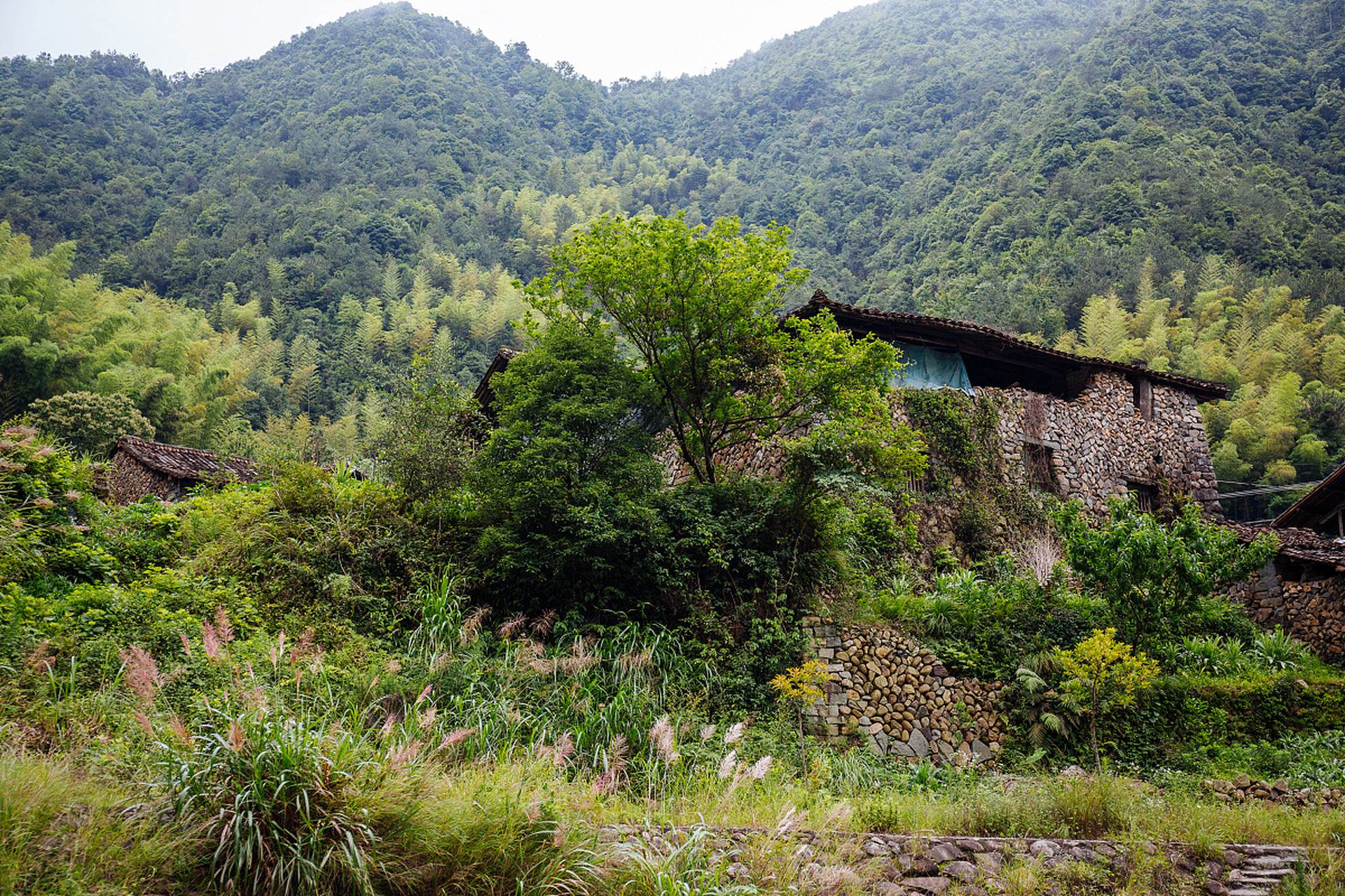 1929年2月,金缄三任中共永嘉县委书记,县委下设6个区委,74个党支部.