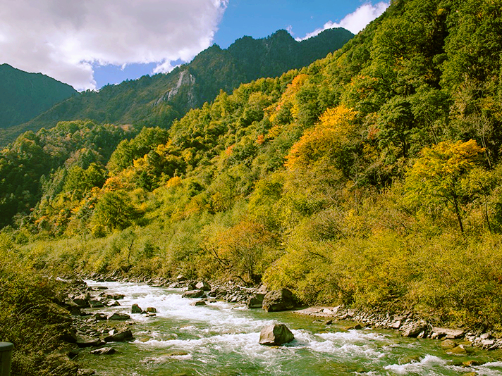 熊猫之乡 | 走进卧龙国家级自然保护区