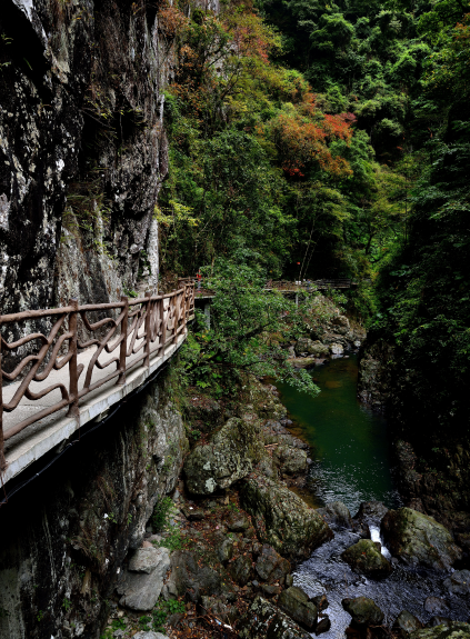 福州皇帝洞——峡谷中的王者!