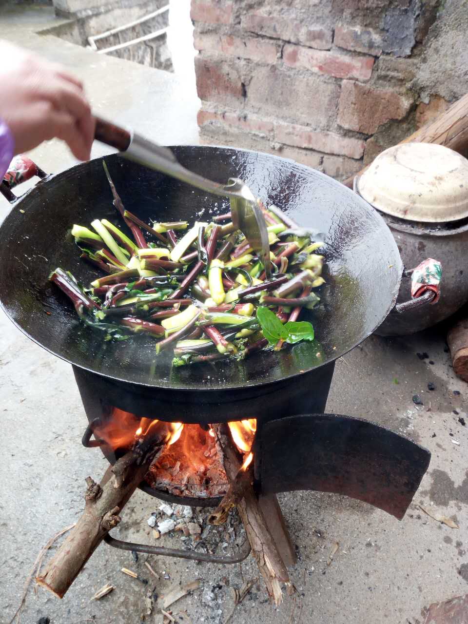 这才是真正的湖南农村青菜,看着都流口水