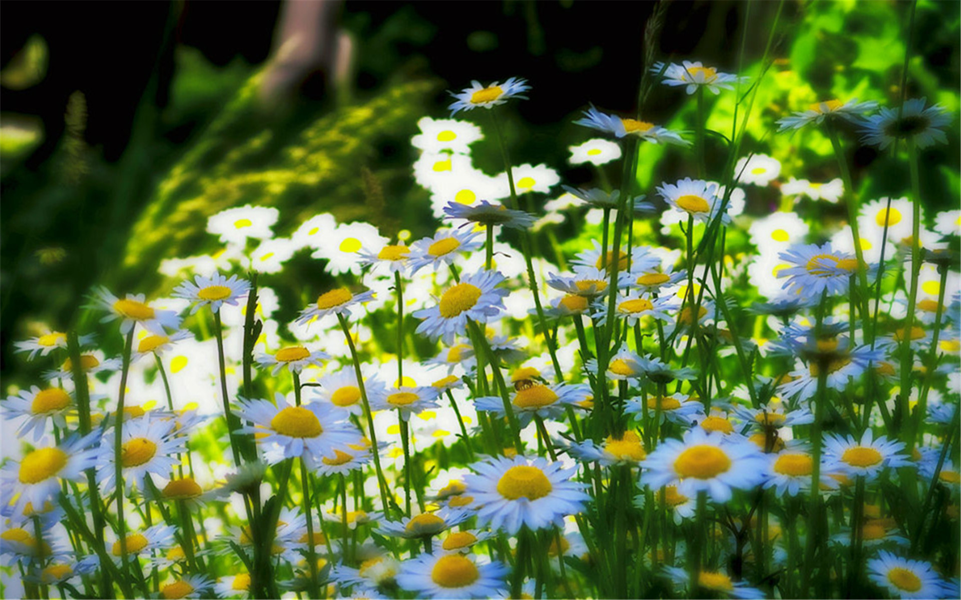 记住这6点,烦恼就会变少