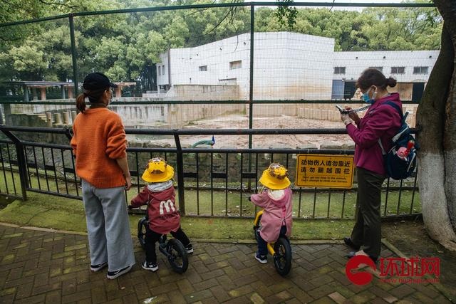 武汉动物园今起有序恢复开放,闭园期间添了"新丁"