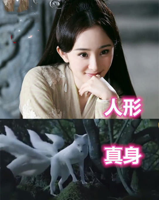 古装女神人形vs真身,白浅ok,凤九ok,看到她:女神别走!