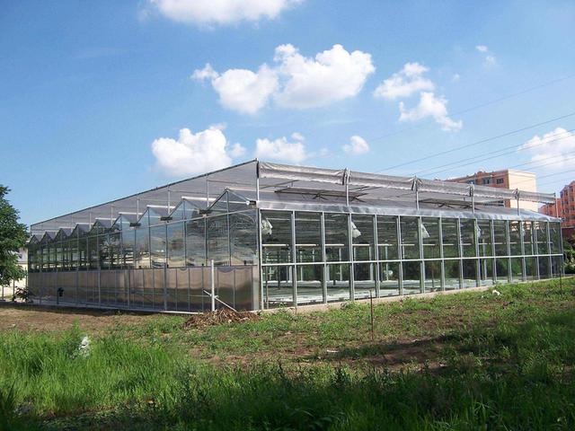 一般在面积比较大的情况下我们才会选择搭建连栋温室兰花大棚,因为在